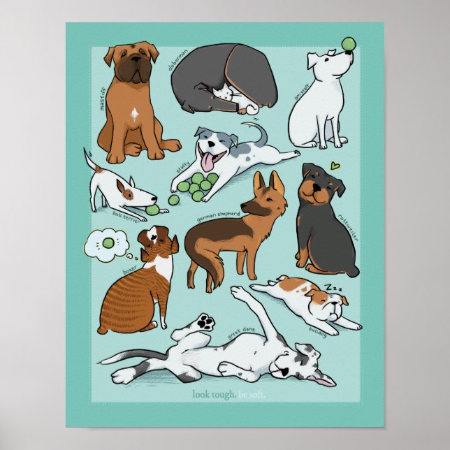 O Poster dos cães "não resistentes" - 11x14 pol (Frente)