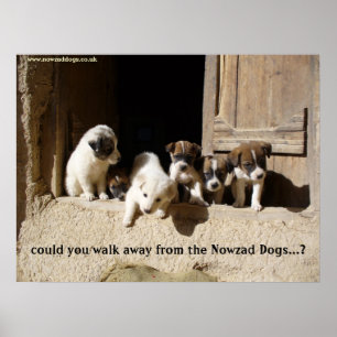 O poster dos filhotes de cachorro de Nowzad