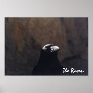 O Poster Raven
