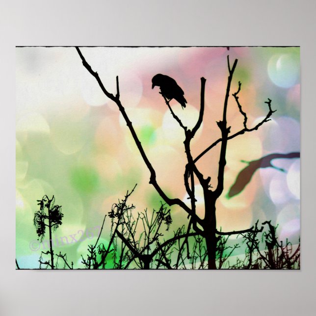 O POSTER SOLITÁRIO (Frente)