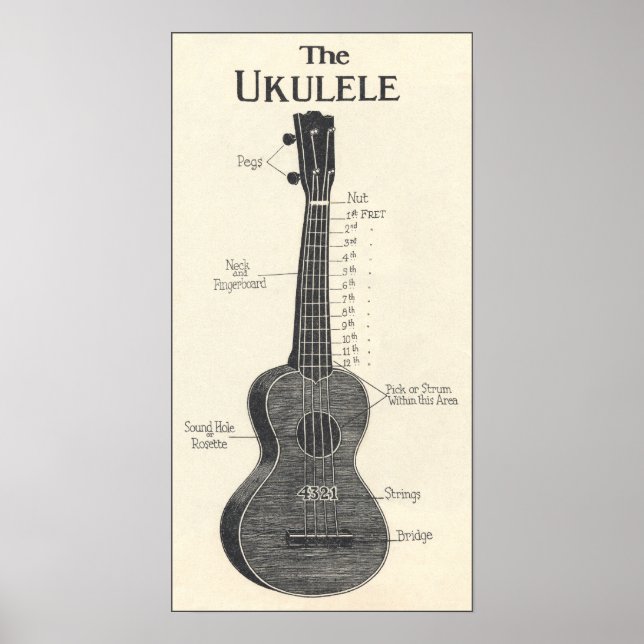 O Poster Ukulele (Frente)