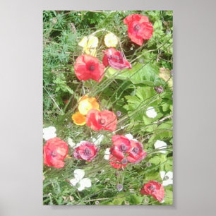 O prado Dapple o poster do valor das flores -