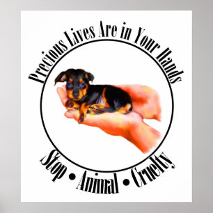 O precioso vive poster