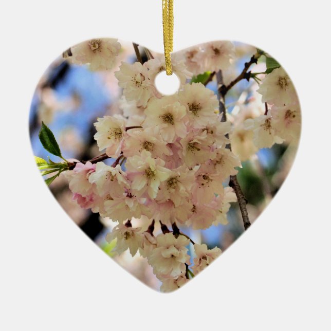 O primavera delicado floresce ornamento da flor (Frente)