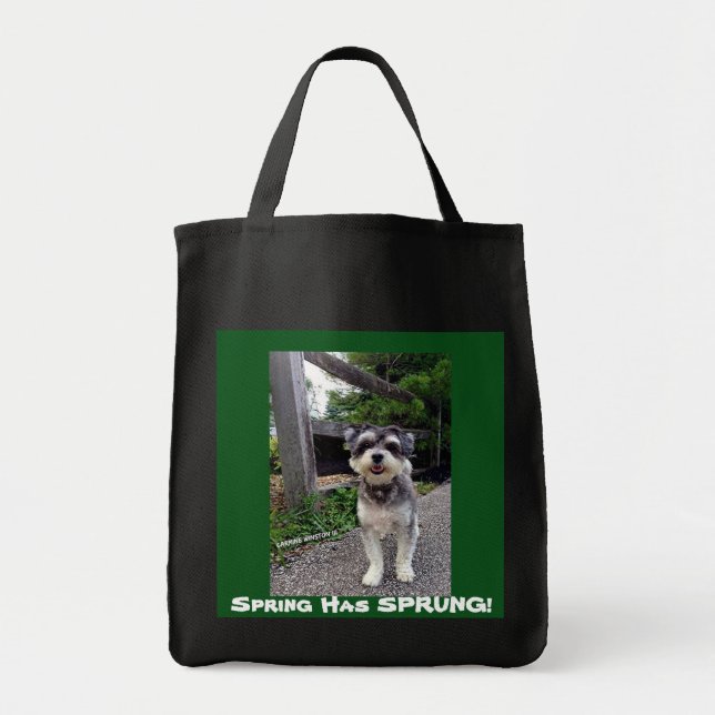 O primavera do *NEW* 2015 SALTOU! O bolsa de (Frente)