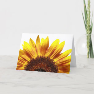 O primavera é cartão de vinda