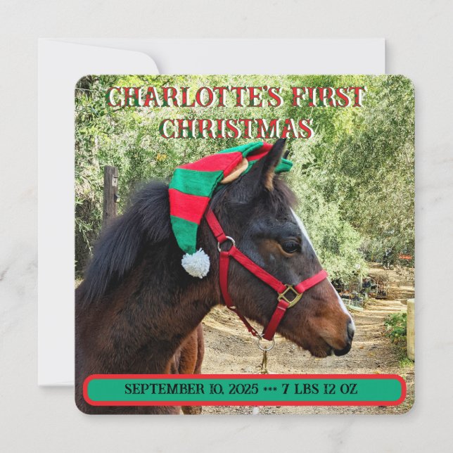 O Primeiro Anúncio de Nascimento de Natal do Bebê (Frente)