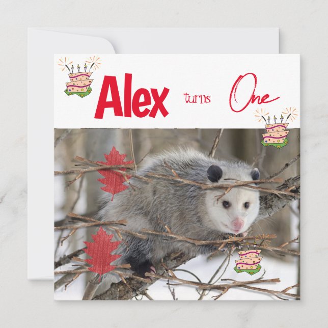 O primeiro convite à infância - Possum (Frente)