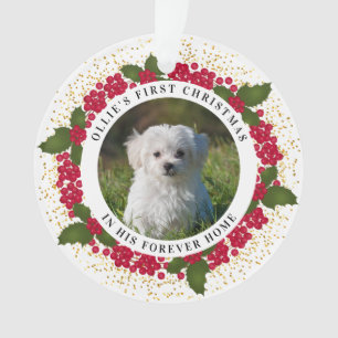 O primeiro Enfeites de natal para sempre de Ollie