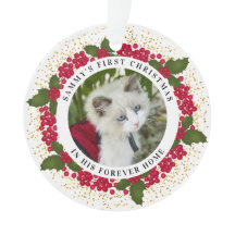 O Primeiro Ornamento de Fotos de Gato de Natal de 