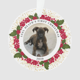 O Primeiro Ornamento de Natal do Axel