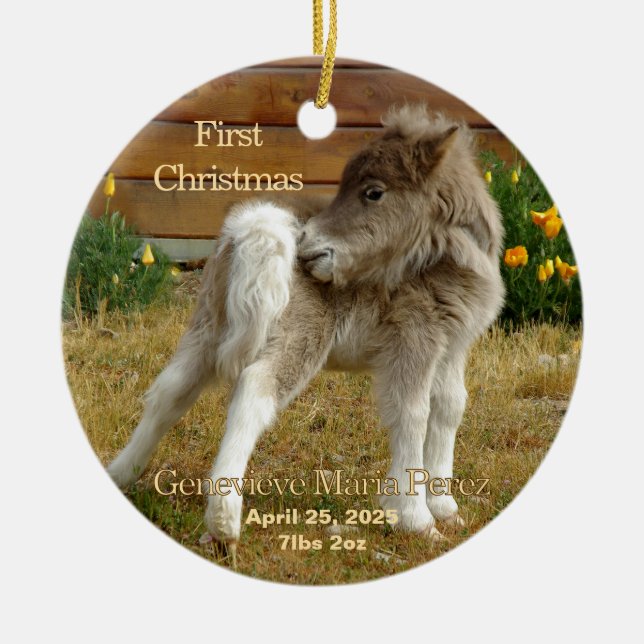 O Primeiro Pôneo de Natal do Bebê no Ornamento de  (Frente)