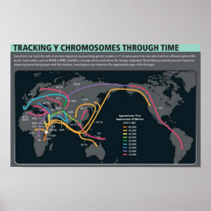 O primeiro Poster de migração