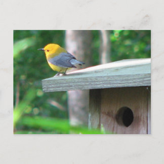 O Prothonotary reivindica o cartão da caixa