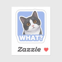 O QUÊ? Adesivo de Gato Engraçado – Meme de Gato Co