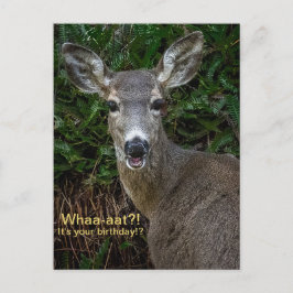 O que?! É seu aniversário?! Cartão postal