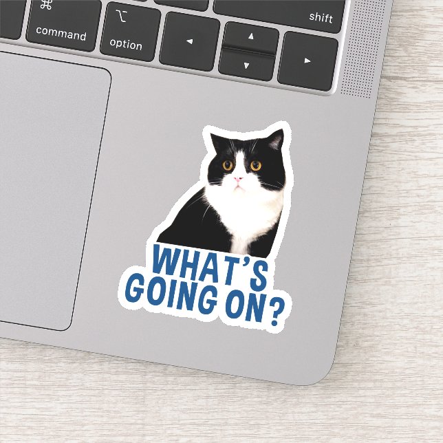 O que está acontecendo no adesivo de Manchester (Detalhe)