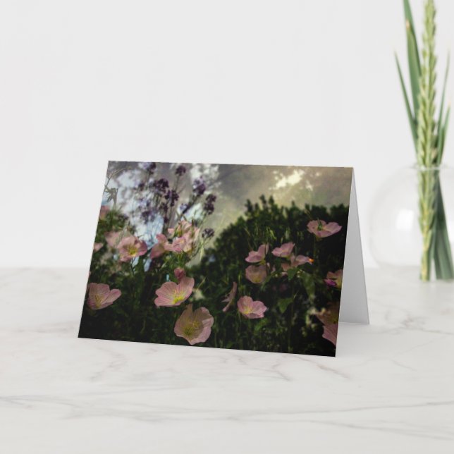 o que floresce no cartão das sombras (Frente)