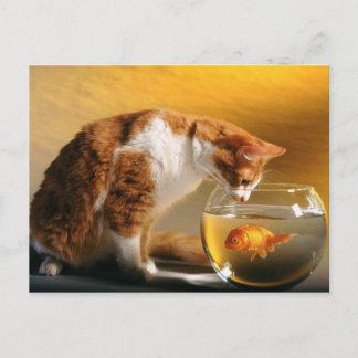 O Que Há Para Jantar? Cartão Postal