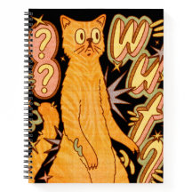 O quê? / Uma Ilustração De Gato Laranja