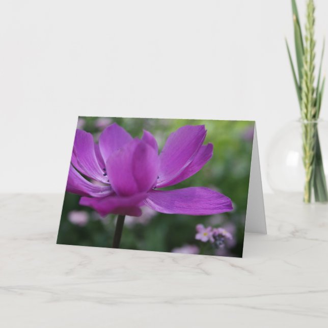 O que você esconde? Cartão de Fotografia Floral An (Frente)