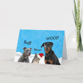 O Que Você Esperava Do Cartão De Natal?