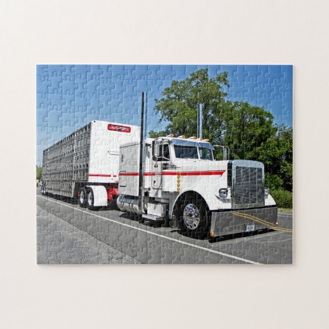 O quebra-cabeça de Bontrager 379 (Horizontal)