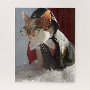 O Quebra-cabeça de Gato do Assistente