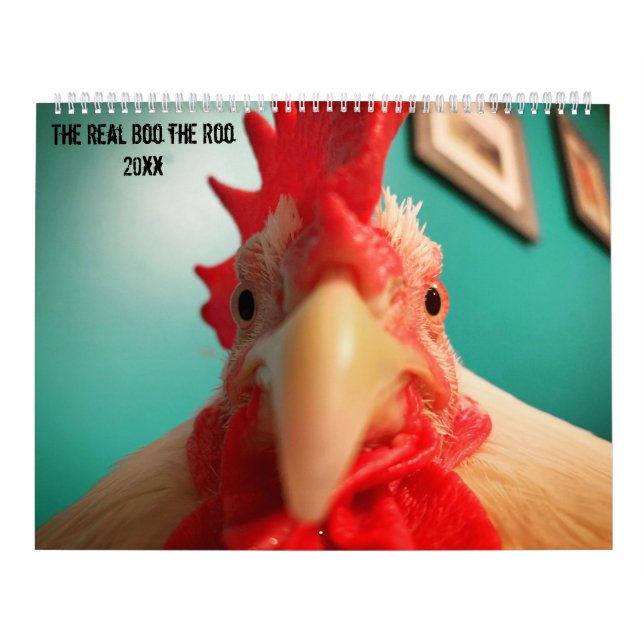 O Real Boo do Calendário Roo 2020 (Capa)