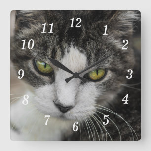 O Relógio De Parede Do Bebê