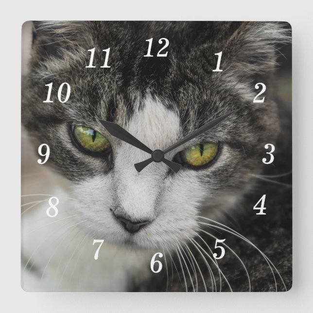 O Relógio De Parede Do Bebê (Frente)