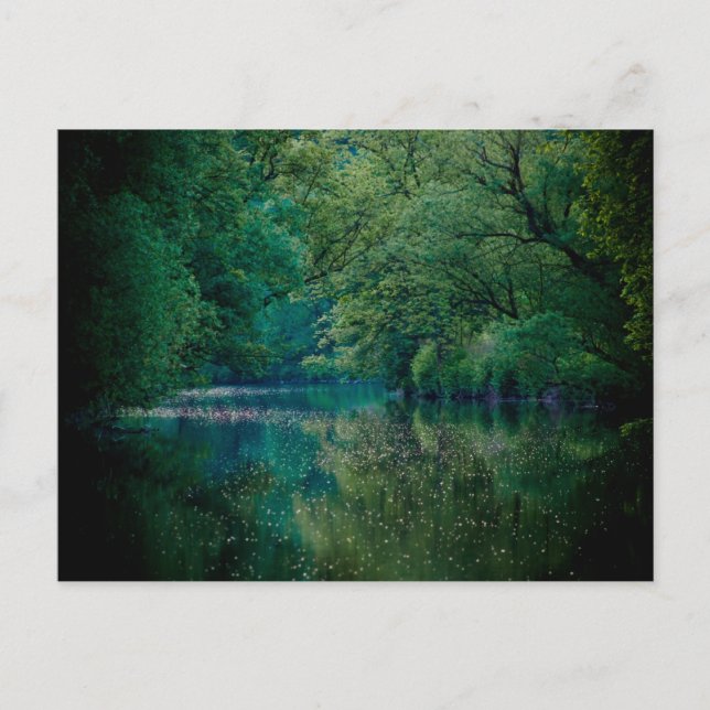 O rio — Cartão postal (Frente)