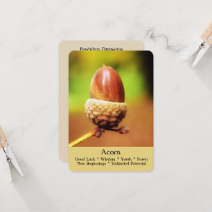 O ritual, a adivinhação & os cartões curas -