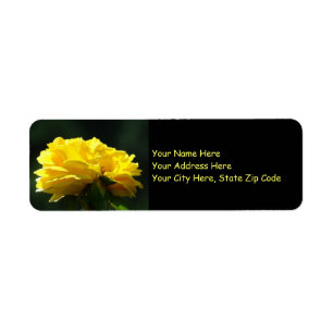 O rosa amarelo floresce etiquetas das etiquetas de
