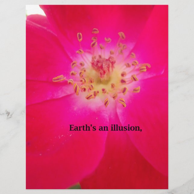 O Rosa Cósmico: Design de Decepção da Natureza (Frente)