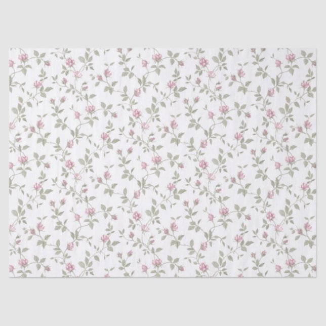 O rosa do rosa brota o lenço de papel gasto do (Frente )