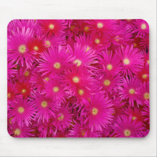 O rosa floresce Mousepad