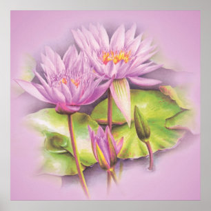 O roxo do lírio de água floresce o poster