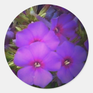 O roxo floresce etiquetas