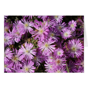 O roxo floresce o cartão vazio