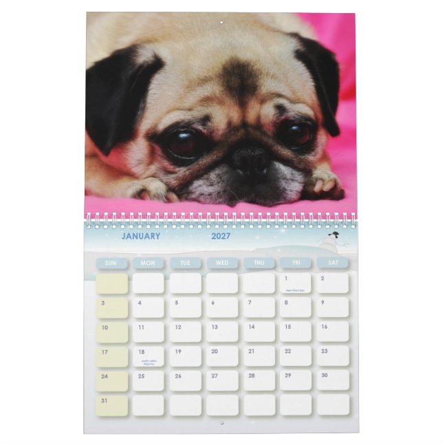 O salvamento persegue o calendário II (Jan 2027)