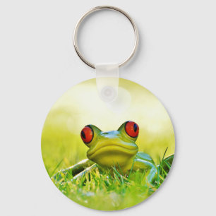 O sapo de árvore com vermelho Eyes o chaveiro