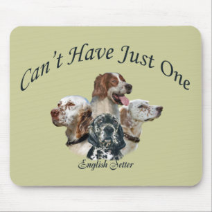 O setter inglês não pode ter apenas um Mousepads