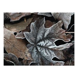 O seu alargamento de fotos personalizado de 16" x