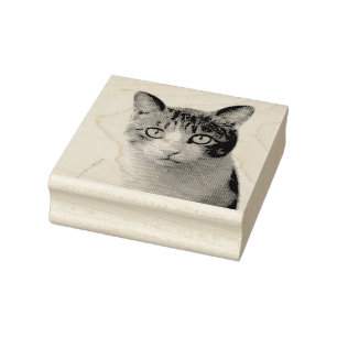 O SEU CARIMBO DE BORRACHA PERSONALIZADO DE GATO DE