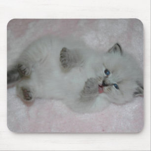 O SibKitten o mais bonito Mousepad - personalizado