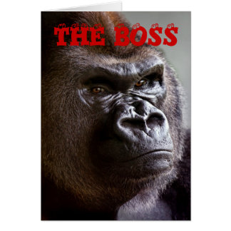 O Silverback do gorila o chefe dirige o cartão do