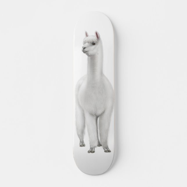 O skate branco da alpaca (Frente)