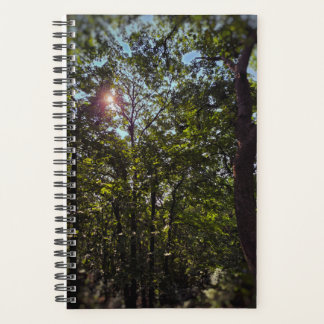 O Sol Brilha Através Do Planejador