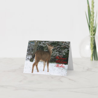 O solstício o mais morno deseja o cartão